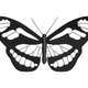 Gothic Skull Butterfly Embroidery Design, Instant Download
