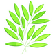 Green Leaf Branch Embroidery Design, Instant Download