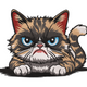 Grumpy Cat Embroidery Design, Funny Pet Machine Embroidery, Instant Download