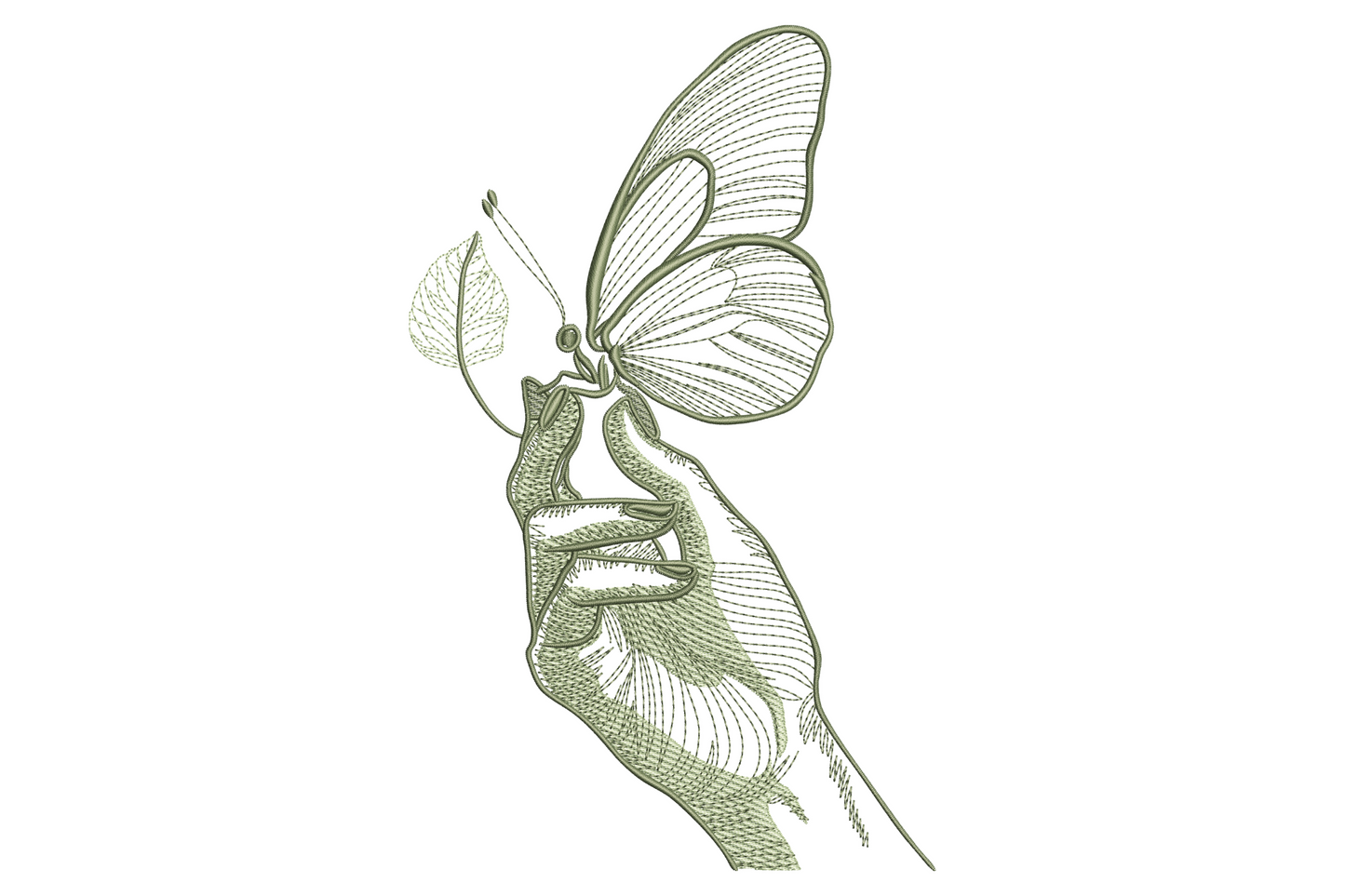 Hand holding butterfly line art embroidery in sage thread, vintage engraved style with cross-hatch shading.