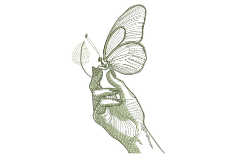 Hand holding butterfly line art embroidery in sage thread, vintage engraved style with cross-hatch shading.