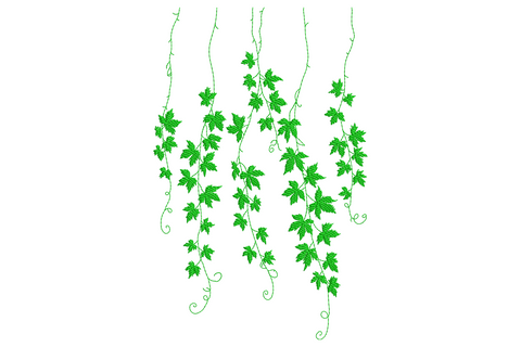 Hanging ivy vines embroidery design, dense cascading leaves and tendrils in single dark green thread.