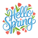 Hello Spring Typography Embroidery Design, Machine Embroidery Pattern, Instant Download
