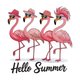 Hello Summer Flamingo Embroidery Design, Machine Embroidery Pattern, Instant Download