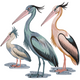 Heron Trio Embroidery Design, Instant Download