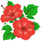 Hibiscus Flower Bouquet Embroidery Design, Instant Download