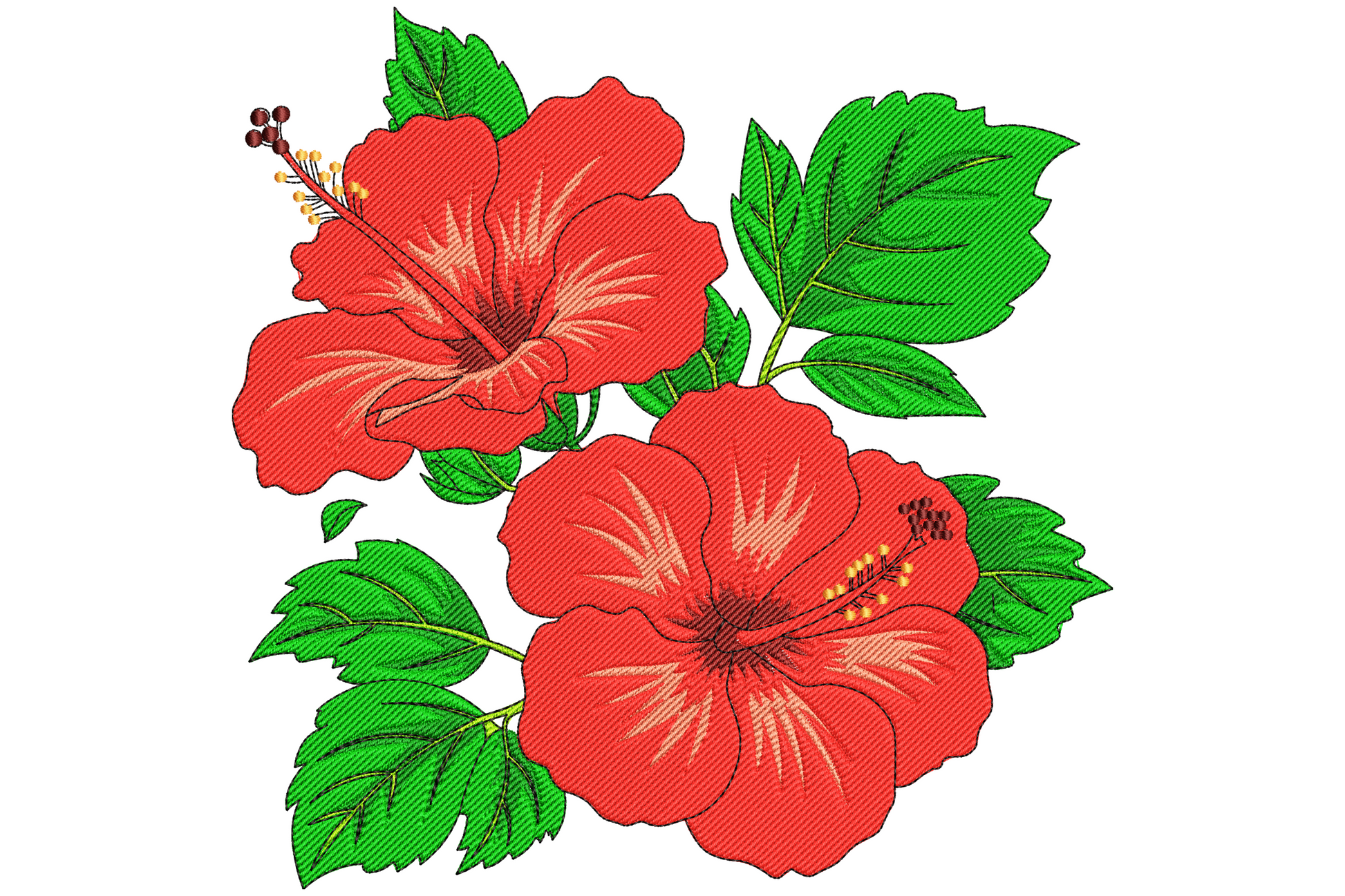Two crimson hibiscus flowers with yellow stamens and deep green leaves and small burgundy buds in a tropical bouquet style.