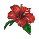 Hibiscus Flower Embroidery Design, Tropical Machine Embroidery Pattern, Instant Download