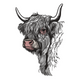 Highland Cow Head Embroidery Design, Instant Download