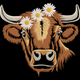 Highland Cow With Daisy Flowers Embroidery Design, Instant Download