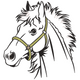 Horse Head Line Art Embroidery Design, Instant Download