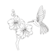 Hummingbird with Orchid Flowers Embroidery Design, Instant Download