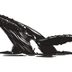 Humpback Whale Embroidery Design, Instant Download