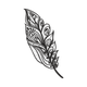 Intricate Decorative Feather Embroidery Design, Instant Download