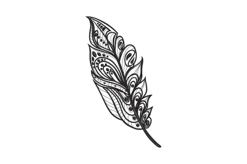 Ornate boho feather with paisley swirls, teardrops and dot clusters split into compartments, blackwork style.