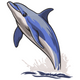 Jumping Dolphin Embroidery Design, Instant Download