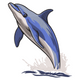 Jumping Dolphin with Splash Embroidery Design, Instant Download