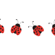 Ladybug Border Embroidery Design, Machine Embroidery Pattern, Instant Download