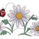 Ladybug and Daisies Embroidery Design, Spring Garden Pattern, White Daisy with Ladybug
