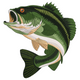 Largemouth Bass Fish Embroidery Design, Instant Download