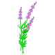 Lavender Flower Sprig Embroidery Design, Instant Download