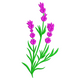 Lavender Stem Embroidery Design, Instant Download