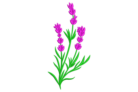 Lavender stem embroidery design with a slim sage green stalk, two small leaves and clustered dusty purple buds running up the top third.