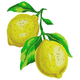 Lemon Branch Embroidery Design, Instant Download
