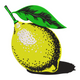 Lemon Fruit Embroidery Design, Citrus Kitchen Machine Embroidery Pattern, Instant Download