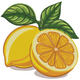 Lemon Slice Embroidery Design, Instant Download