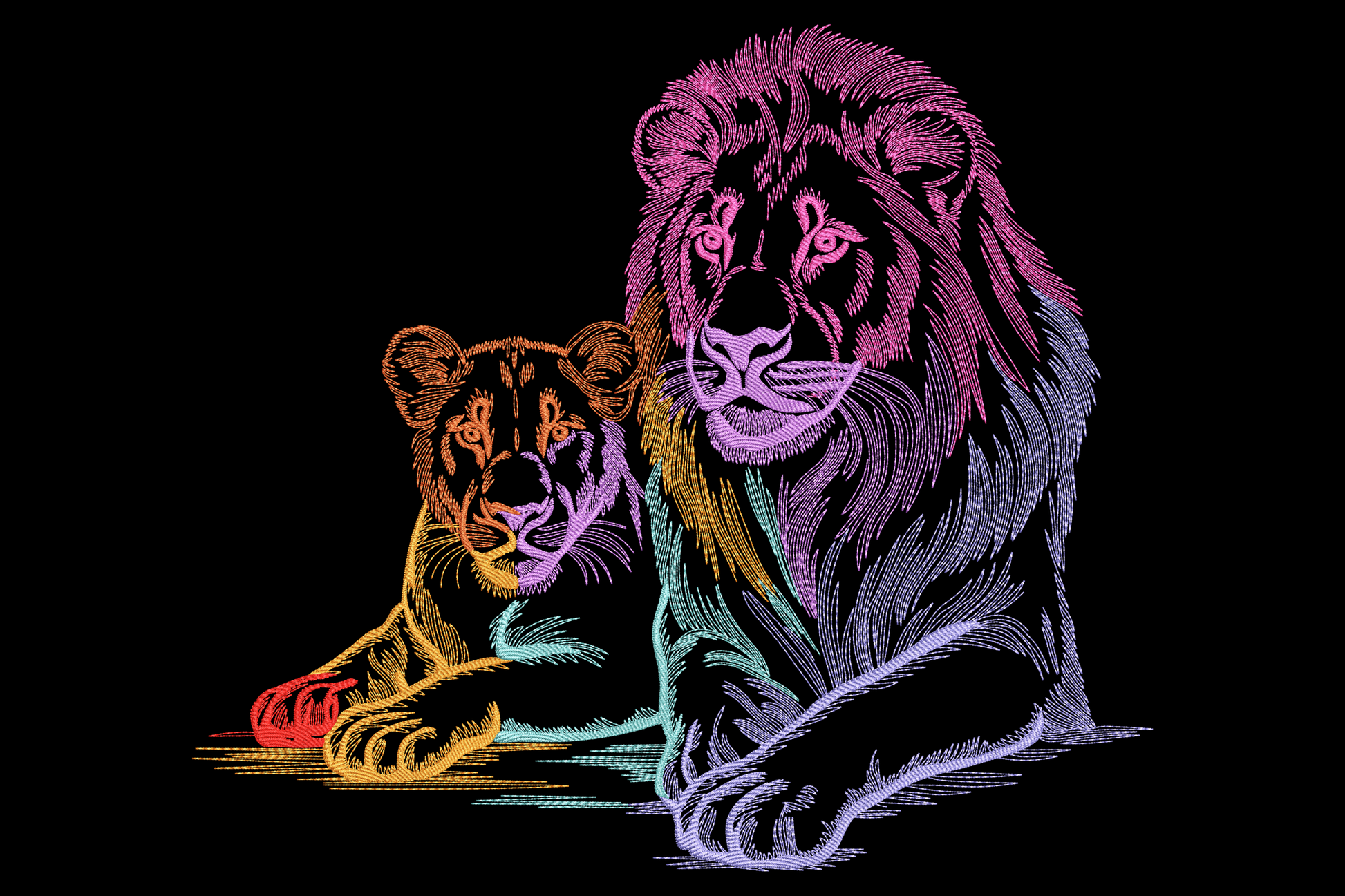 Rainbow lion and lioness portrait embroidery with directional fur stitching in pink orange teal and purple thread on black