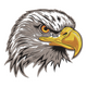 Majestic Eagle Head Embroidery Design, Instant Download