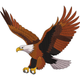 Majestic Flying Eagle Bird Embroidery Design, Machine Embroidery Pattern, Instant Download