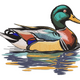 Mallard Duck Embroidery Design, Wildlife Bird Pattern, Instant Download