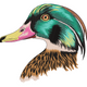 Mallard Duck Head Embroidery Design, Instant Download