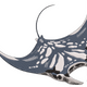 Manta Ray Marine Animal Embroidery Design, Instant Download