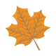 Maple Leaf Embroidery Design V2, Instant Download