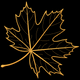 Maple Leaf Outline Embroidery Design, Autumn Machine Embroidery Pattern, Instant Download