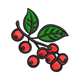 Mini Holly Berries Christmas Embroidery Design, Instant Download