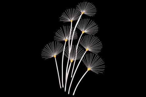 Minimal dandelion seed embroidery with nine white radial puffs and tiny yellow centres on long curving stems.