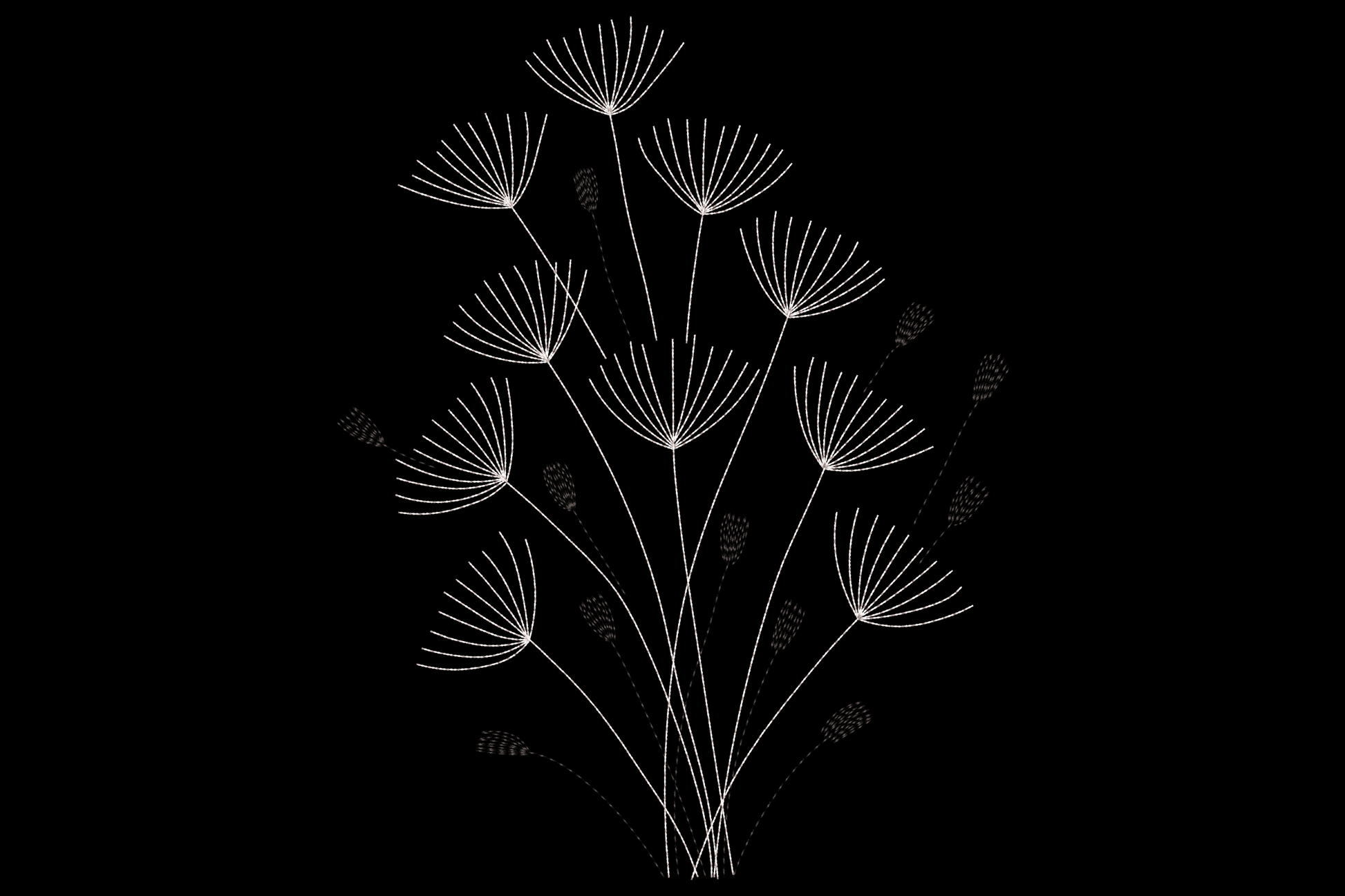 Minimal dandelion silhouette embroidery, cluster of seed heads on thin stems, scattered floating seeds, black and white line art style.