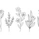 Minimal Wildflower Line Art Embroidery Design, Instant Download
