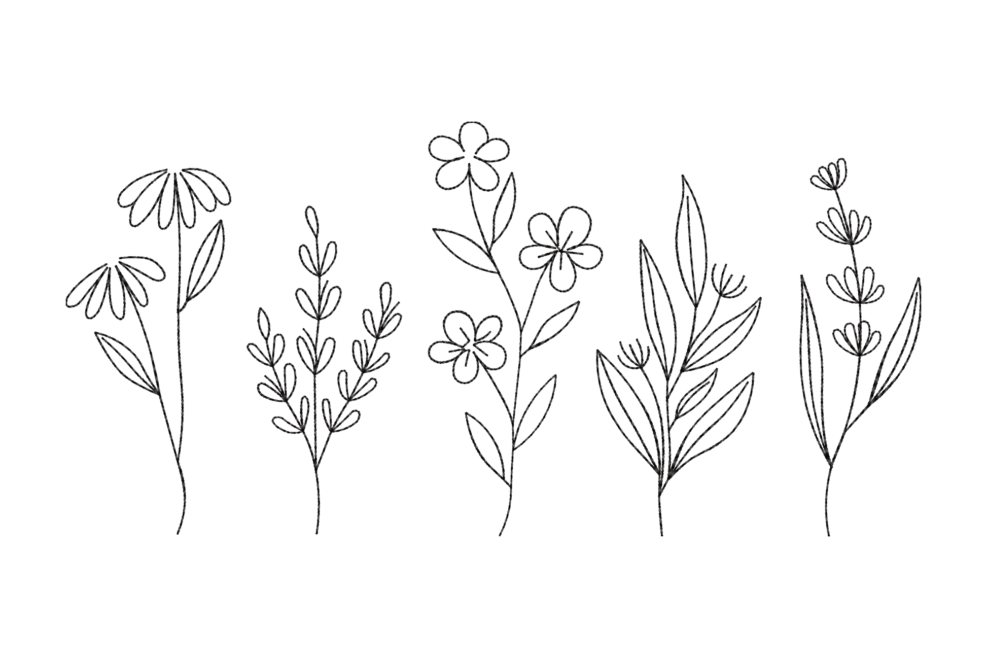 Minimal wildflower line art embroidery design, five botanical stem sketches in single colour, 5 sizes, botanical sketch style