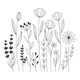 Minimal Wildflower Meadow Line Art Embroidery Design, Tall Botanical Stems Pattern, Instant Download