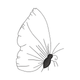 Minimalist Butterfly Side View Embroidery Design, Instant Download
