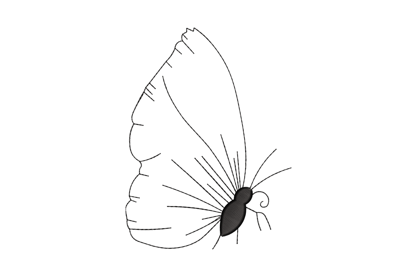 Minimalist butterfly side profile embroidery design, wings folded upright in perched position, sparse outline running stitch only, 4 sizes to 5 inches