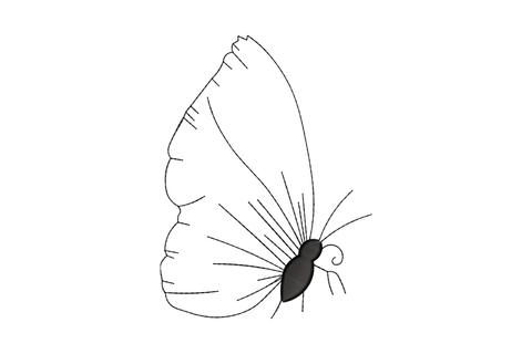 Minimalist butterfly side profile embroidery design, wings folded upright in perched position, sparse outline running stitch only, 4 sizes to 5 inches