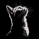 Minimalist Cat Head Embroidery Design, Instant Download
