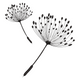 Minimalist Dandelion Embroidery Design, Instant Download