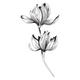 Minimalist Floral Embroidery Design, Instant Download